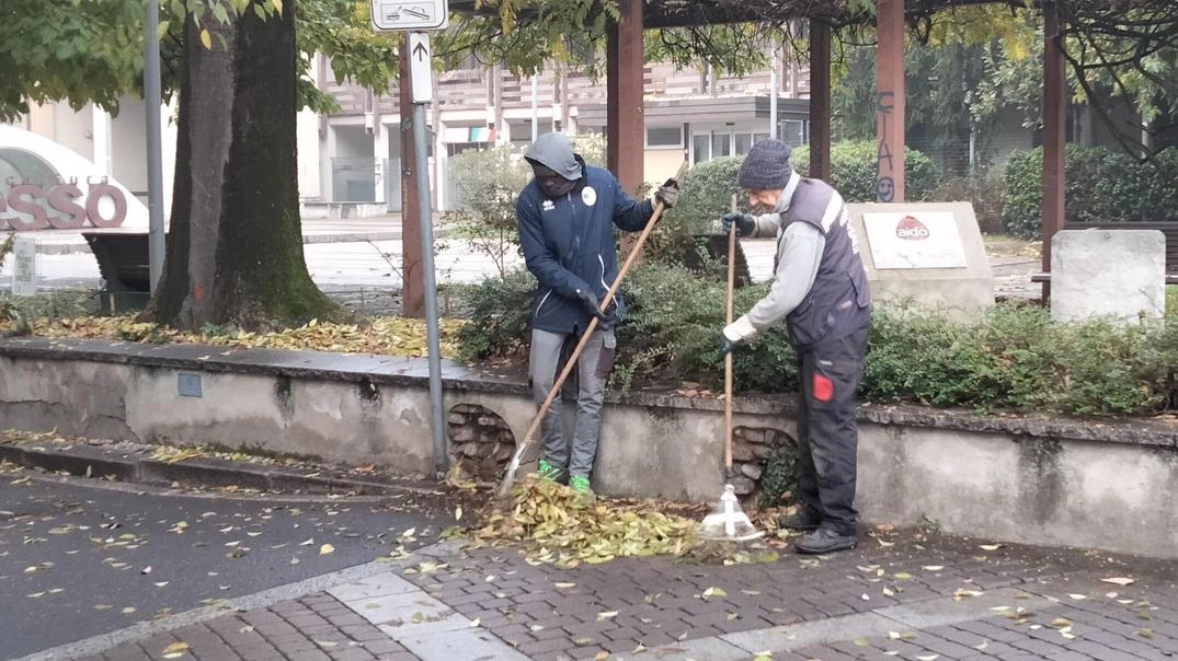 Volontari di "Mi prendo cura di Bresso" puliscono e curano le aiuole pubbliche, coinvolgendo anche ragazzi migranti. Appello per il rispetto delle aree verdi.