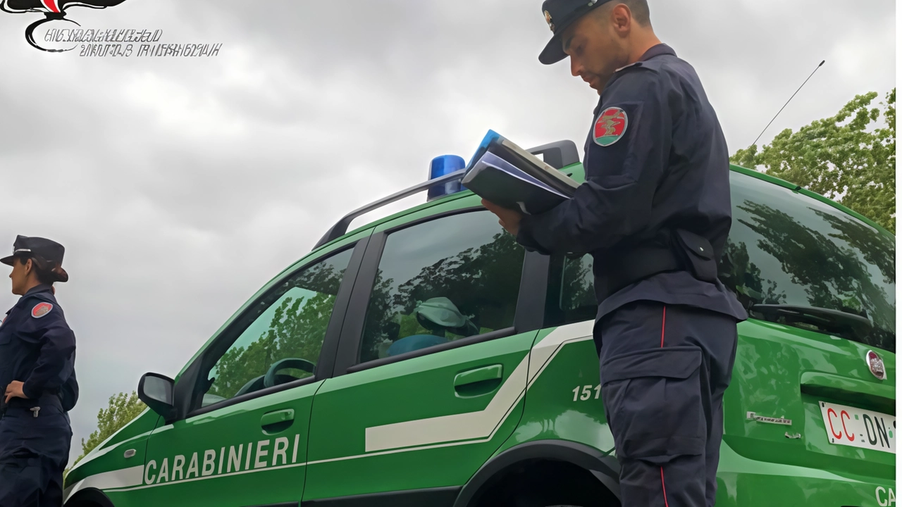 Coinvolti anche i Forestali nella tutela del patrimonio naturalistico