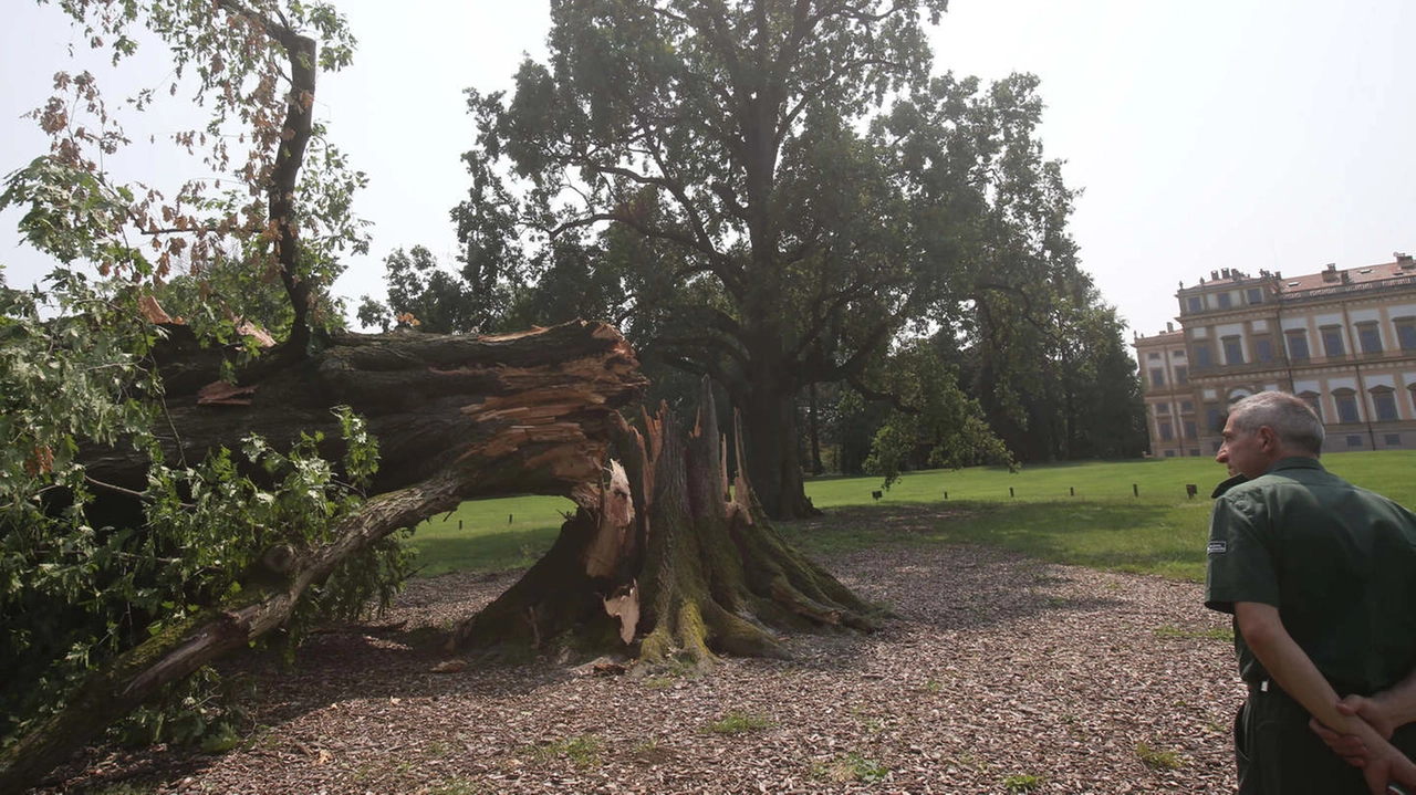 Nel luglio 2023 il maltempo ha scoperchiato palazzi e abbattuto oltre 22mila alberi