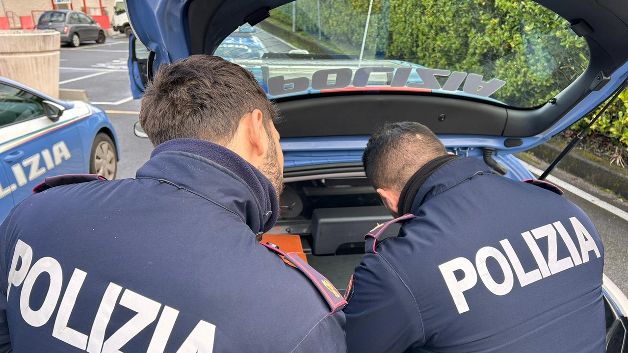 Il ragazzino è stato arrestato dalla polizia