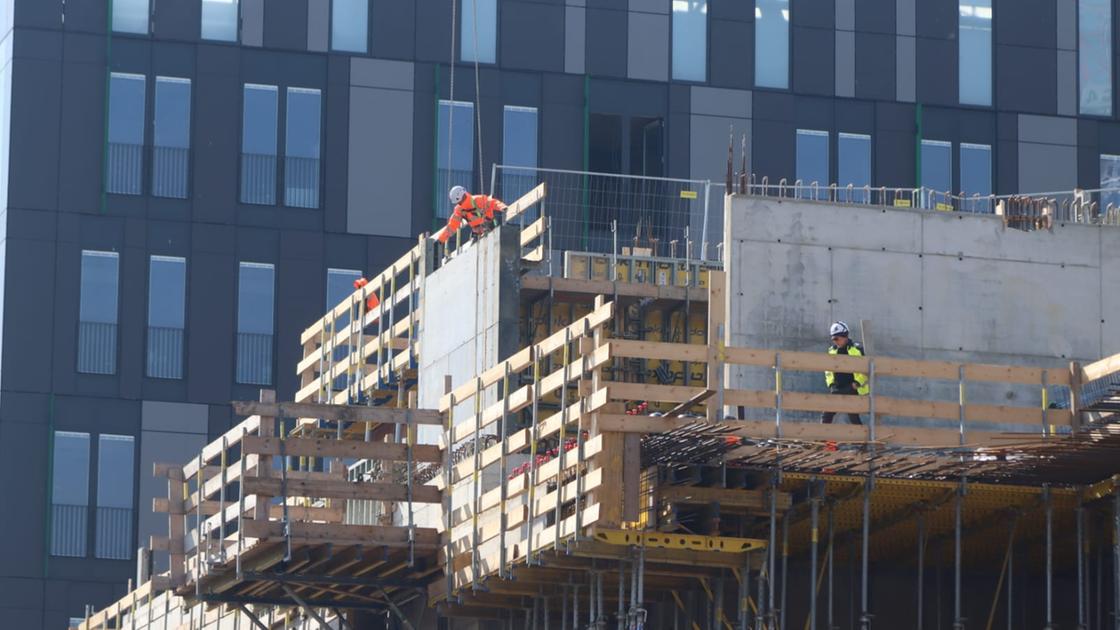 Cento nuovi alberi e duemila metri quadrati di verde: ecco il progetto green del Policlinico di Milano