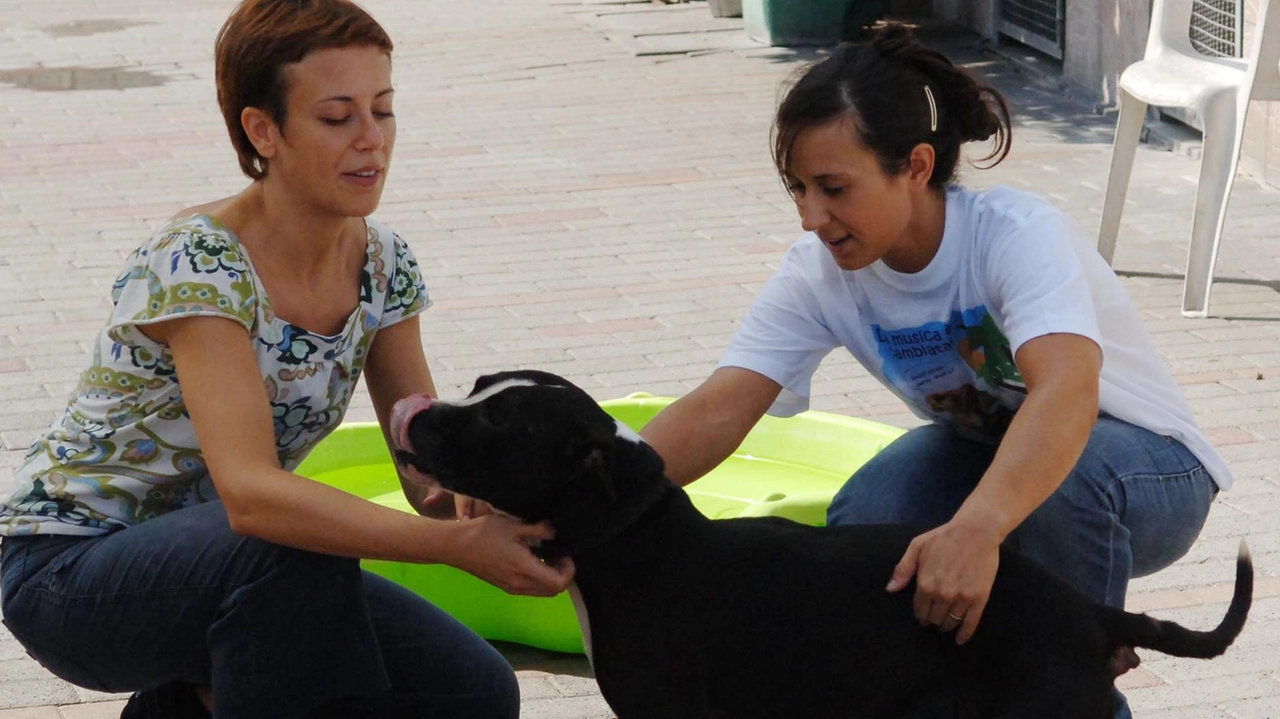 La crociata della Lega del cane di Elisa Cezza dura da tempo «Serve una normativa»