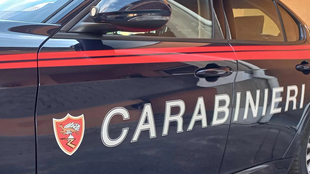 I carabinieri hanno eseguito il controllo sul Sempione