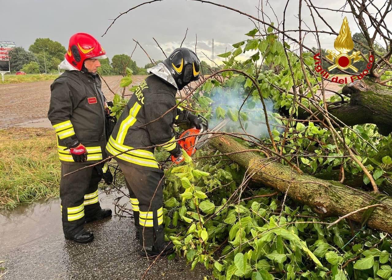 Maltempo nel Lodigiano, continuano le emergenze per pali e alberi pericolanti