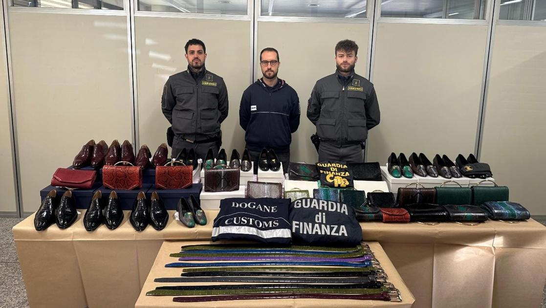 Uggiate, scarpe e accessori di pitone e coccodrillo: sequestrata in dogana merce per 25mila euro