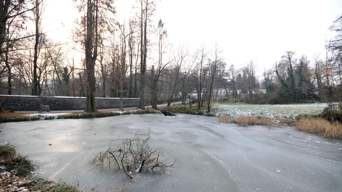 Merate, i pesci devono traslocare: il laghetto di San Rocco diventerà oasi ambientale