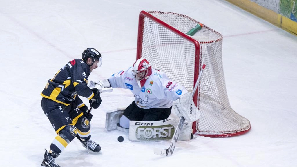 I Mastini tornano in campo dopo il successo su Pergine