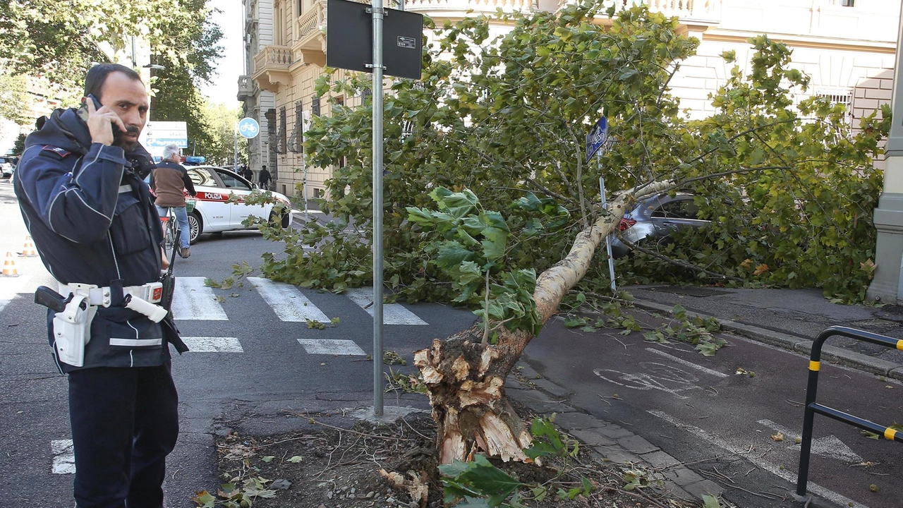 Le Polizie locali hanno lavorato al fianco dei pompieri e delle Protezioni civili per rimettere in sicurezza il territorio devastato