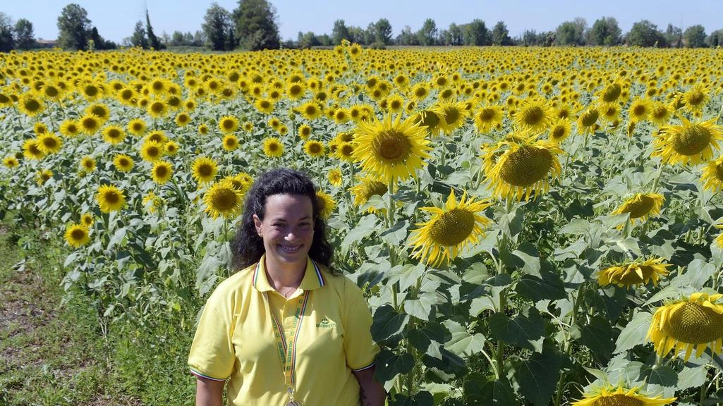 Gli eventi settembrini della Cascina Claudina, azienda agricola e fattoria sociale di Corneliano. In programma passeggiate notturne e benefiche, tra film sotto le stelle e pernottamenti in tenda.