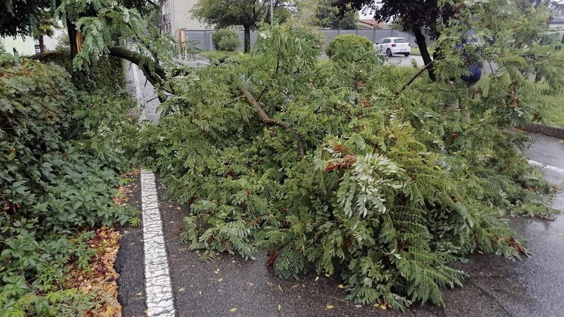 Pioggia torrenziale. Le strade e i sottopassi si trasformano in fiumi