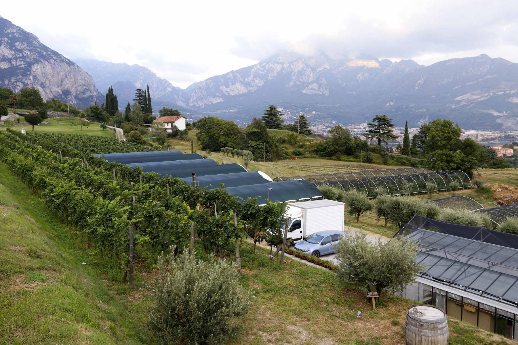 Aiuta i ragazzi in difficoltà: rogo doloso alla Cascina don Guanella di Valmadrera