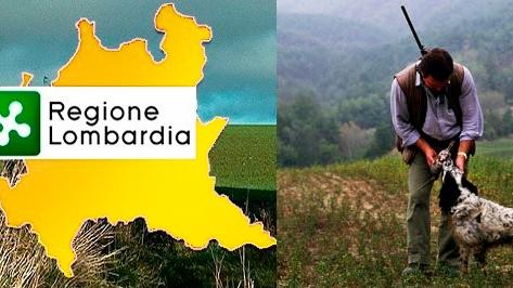 Caccia agli uccelli sospesa in Lombardia: il Tar dà ragione alle associazioni ambientaliste. Protesta la Regione