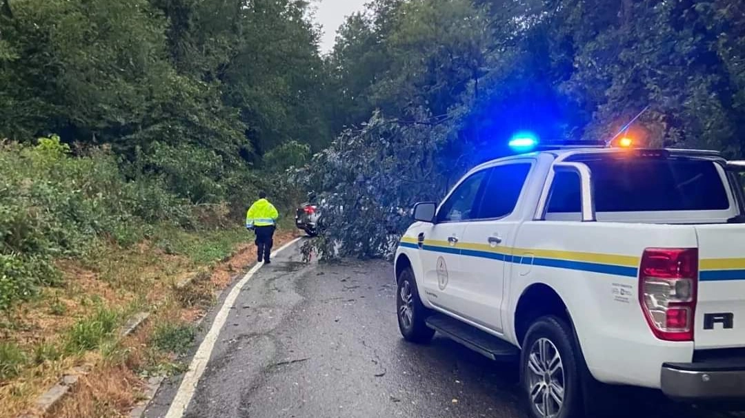 Le strade collinari di San Colombano rimaste bloccate per gli alberi al suolo