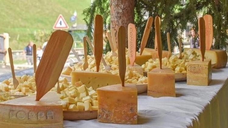 Bitto, il formaggio orgoglio della Valtellina