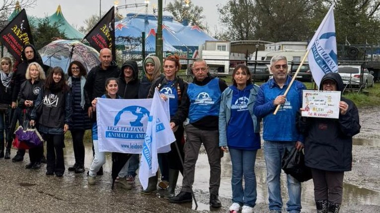 Gli attivisti manifestano sotto la pioggia a Lodi