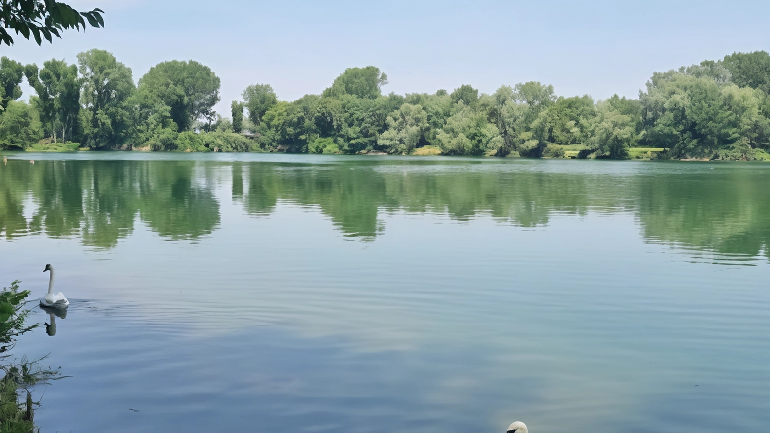 Parco delle Cave. Eco-passeggiata con i volontari