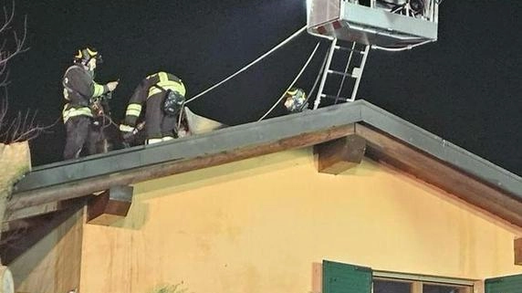 L’intervento dei vigili del fuoco domenica sera sul tetto della villetta nella frazione Triulza