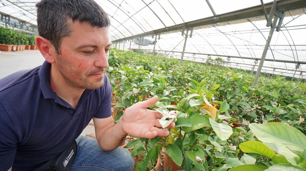 Operai agricoli, nodo contratto