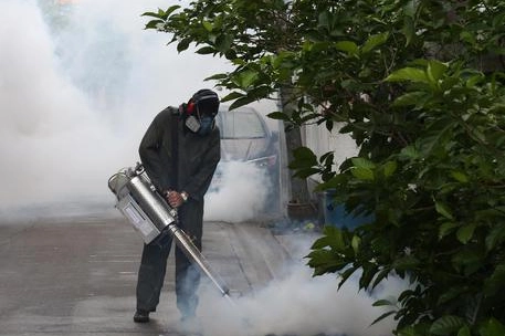 Disinfestazioni contro le larve delle zanzare che trasmettono la Dengue