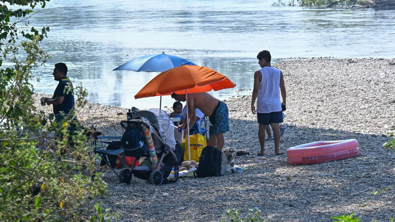 Abbiategrasso, rientra nelle zone soggette a limitazioni per la peste suina ma veniva comunque utilizzata, così sono stati attivati i servizi comunali .