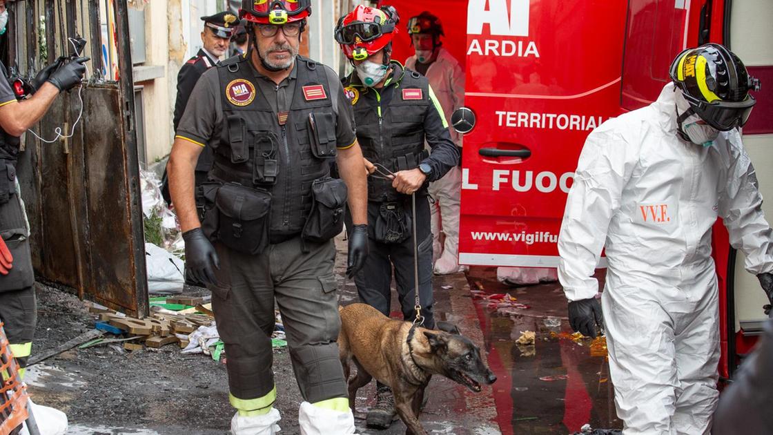 Incendio all’emporio cinese: scende in campo Aika, il cane che fiuta i liquidi infiammabili