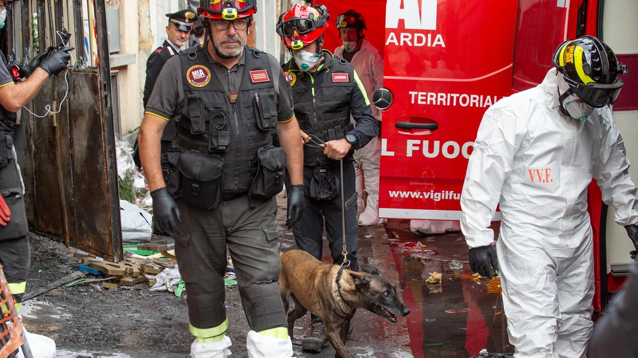 I vigili del fuoco col cane Aika all'emporio di via Cantoni, in zona Villapizzone