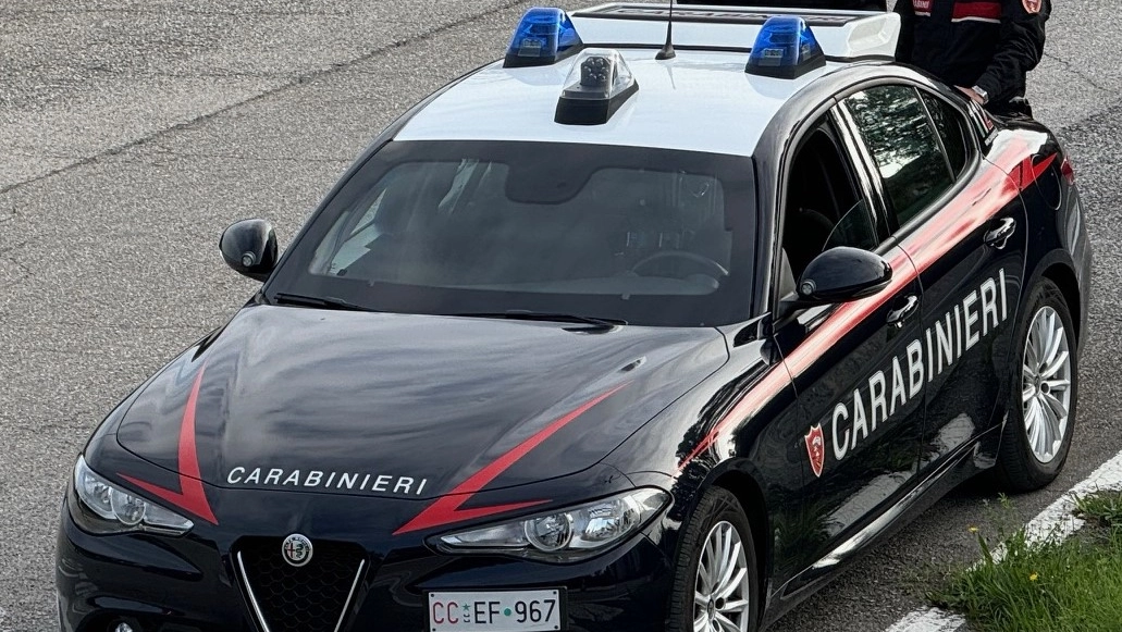 Carabinieri in azione