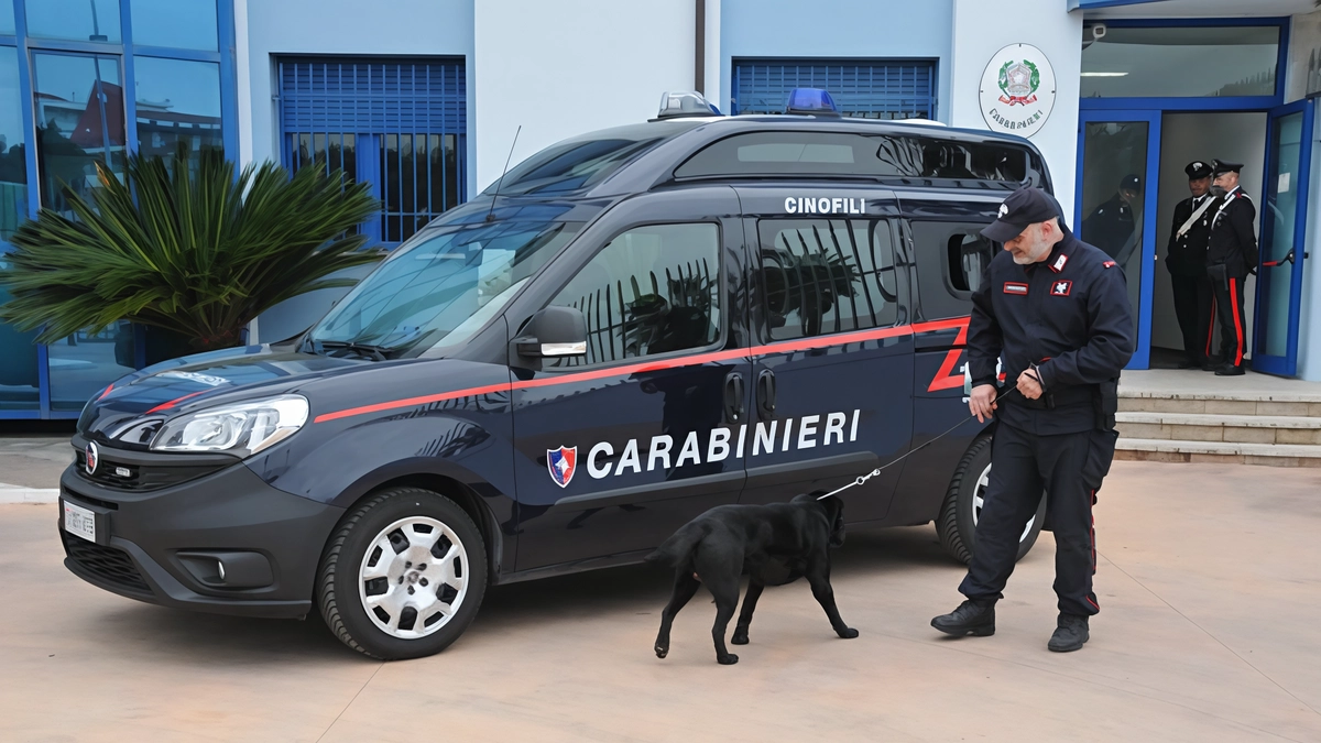 Carabinieri arrestano giovane per detenzione droga a Busto Arsizio. Sequestrati hashish, marijuana e contanti. In attesa del giudizio direttissimo agli arresti domiciliari.