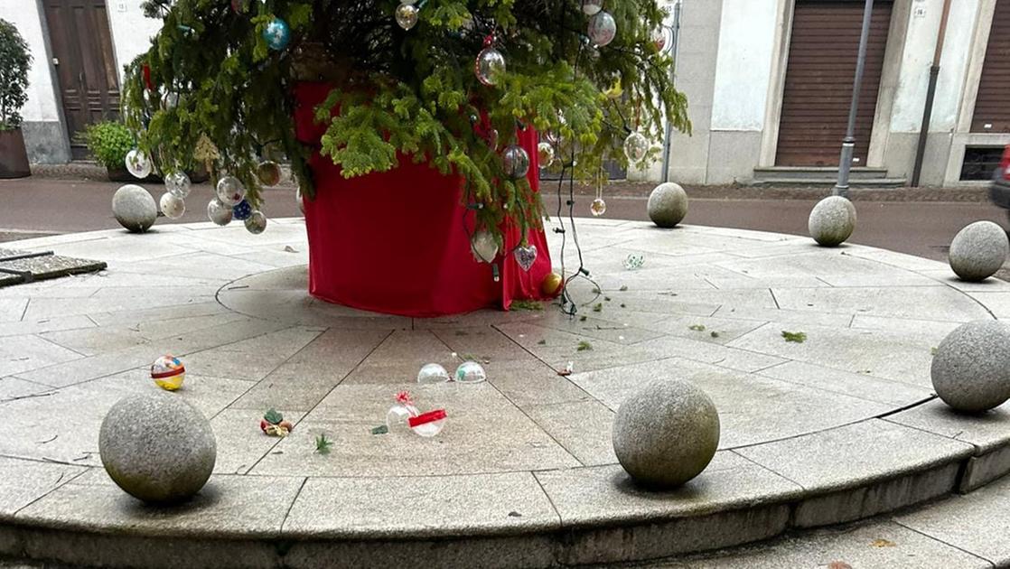 Scatenati i vandali di Molteno: danneggiato l’albero di Natale