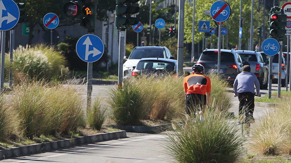 Incuria su viale Lombardia. Piante morte, boulevard a secco ma non è stata colpa del caldo