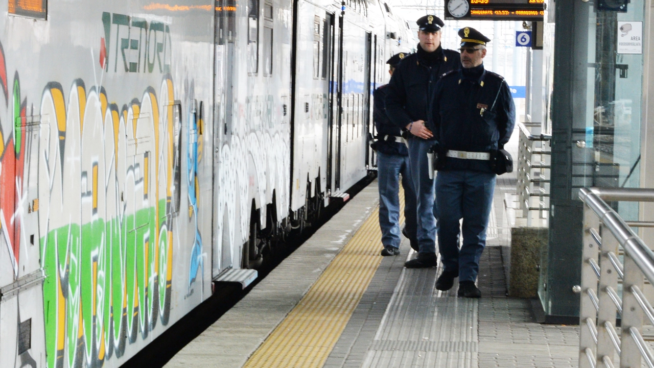 Il branco è stato bloccato dalla polizia di Stato