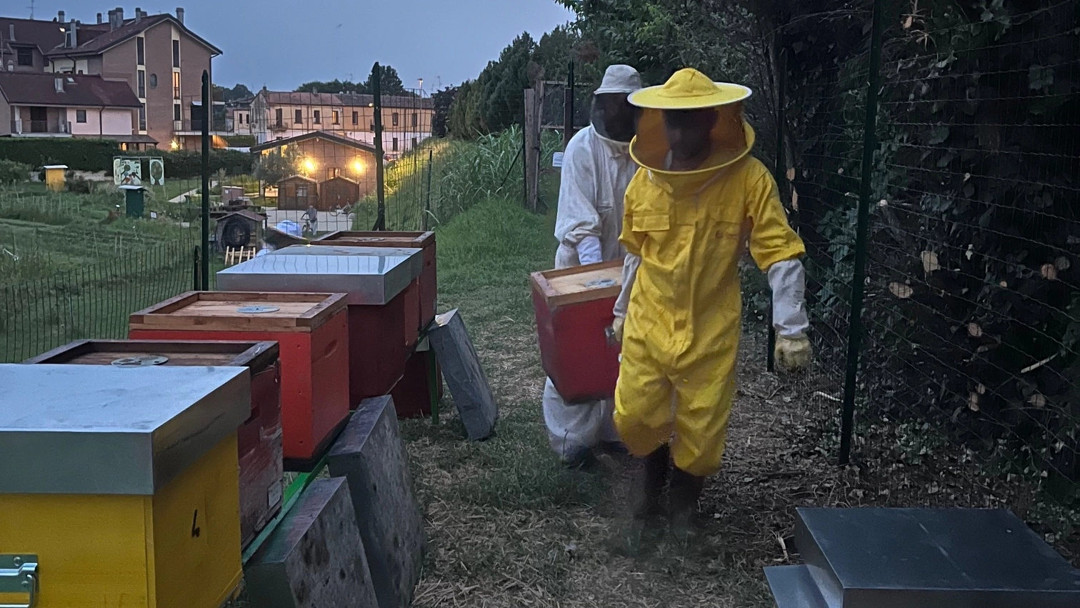 Grazie al progetto AgriCULTURE SOCIALI 3.0, hanno a disposizione quattro famiglie di api ciascuno e a fine percorso potrebbero ricavare un reddito tra gli 800 e i mille euro a partecipante