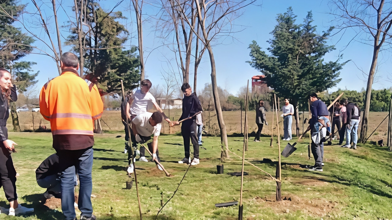 Diversi progetti porteranno alla riqualificazione o creazione di nuove aree verdi tra cui piazza Visconti, il parco che si trova in via Tevere e quello di via Magenta