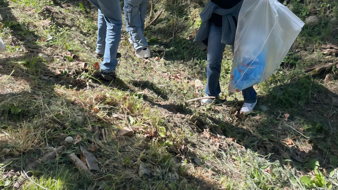 Verde, patrimonio da tutelare. Ecco l’Agenda del Comune: un fronte contro gli ecofurbi