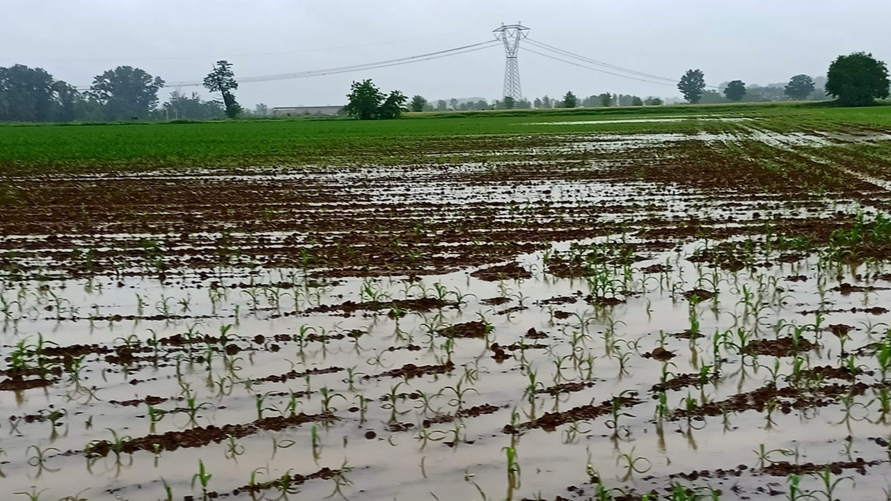 Agricoltura alle prese con il cambiamento climatico