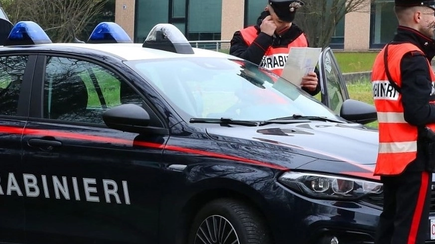 L'indagine è stata condotta dai carabinieri