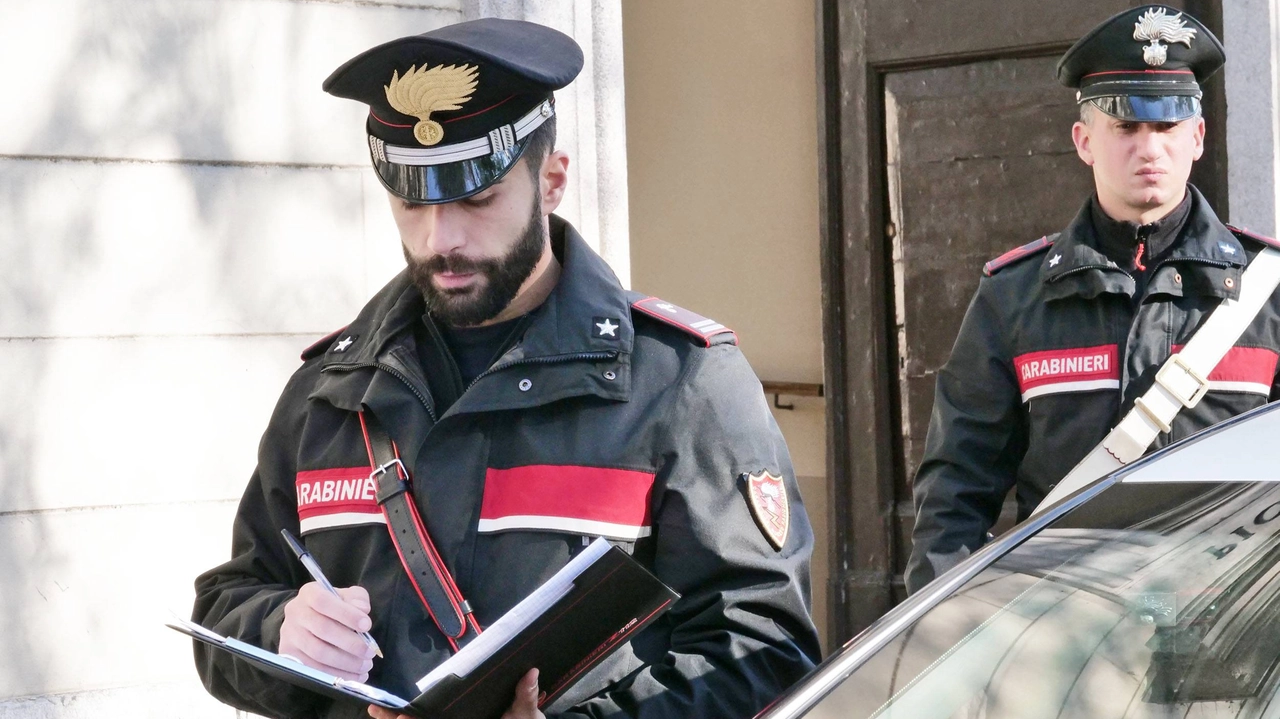 Sul furto notturno indagano i carabinieri (Torres/Ansa)