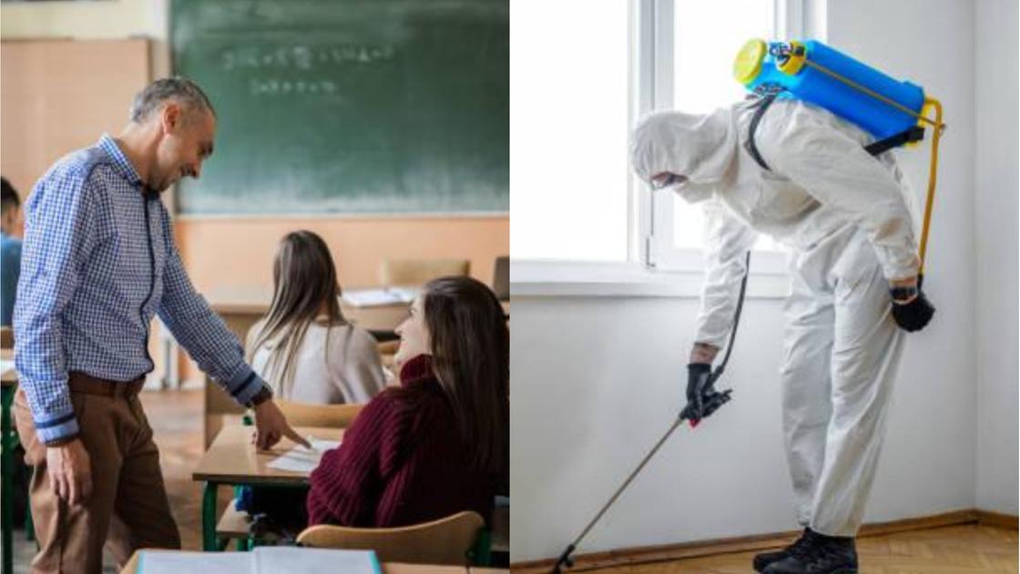 Topi a scuola, sciopero e sit in. Cosa sta succedendo al Volta?