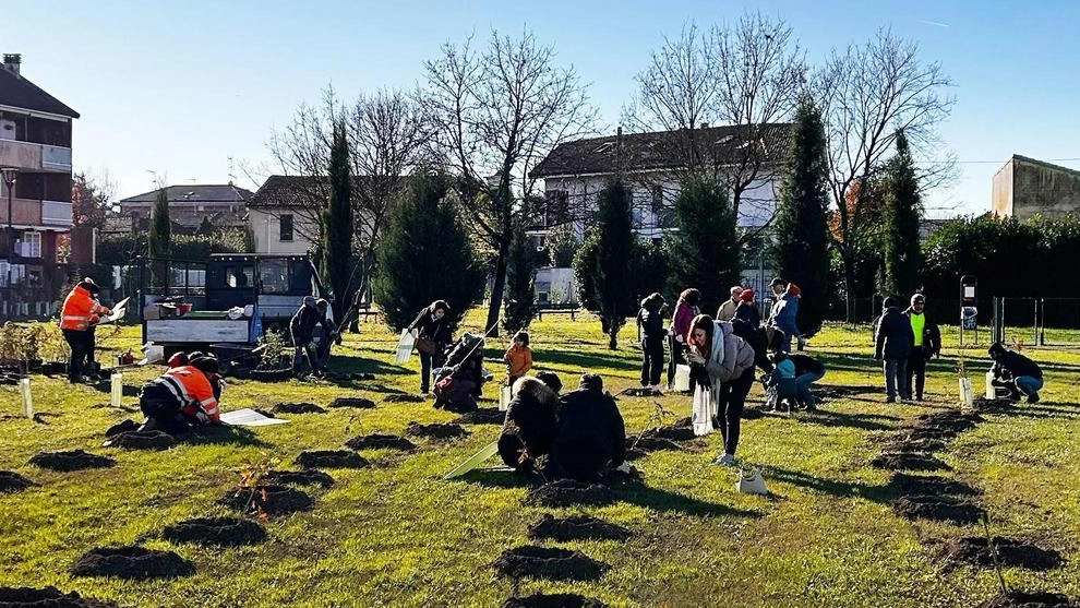 Bosco di Forestami: "Sistemato l’accesso dopo le segnalazioni delle opposizioni, ma gli allagamenti restano un problema". A sollevare la...