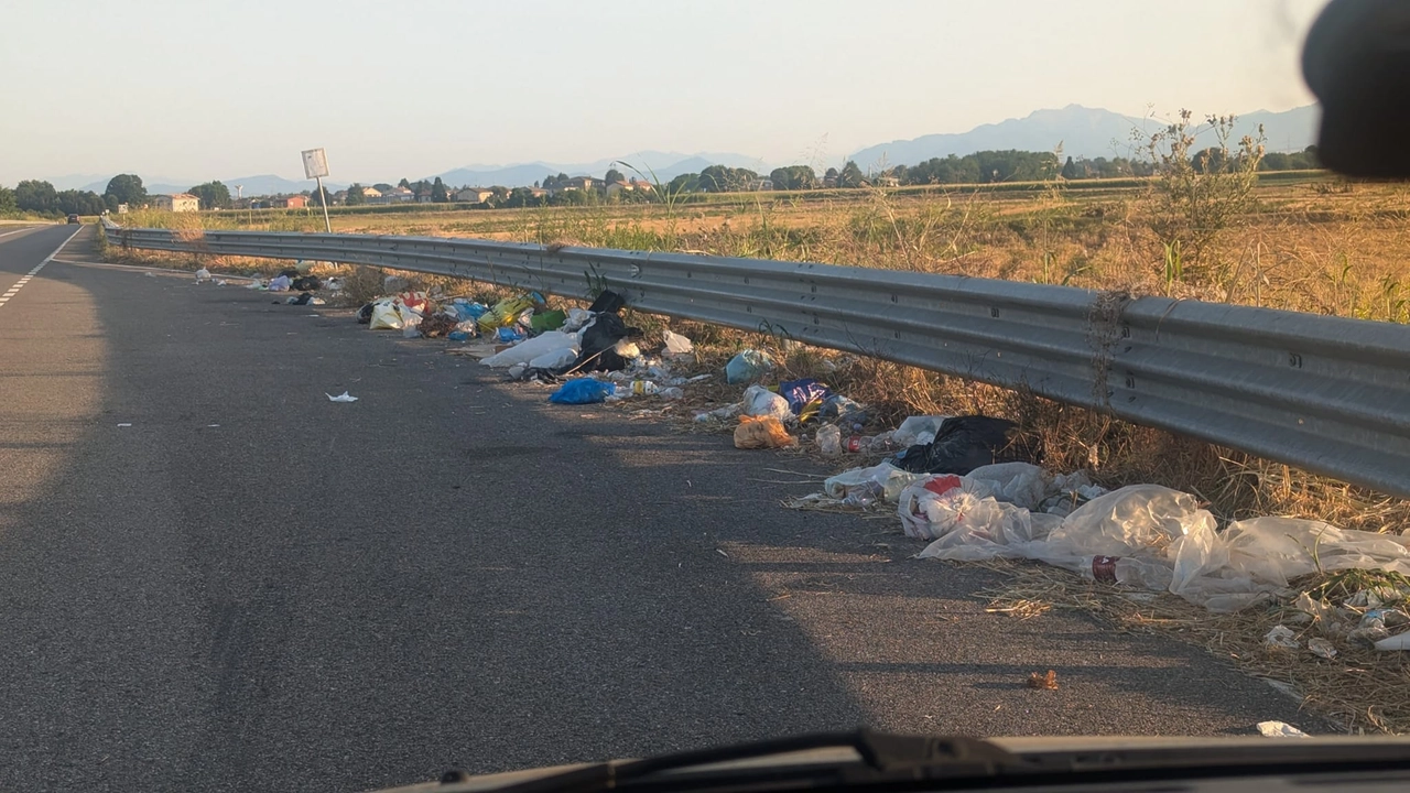 I rifiuti abbandonati: uno spettacolo desolante tra Saronno e Rovello Porro