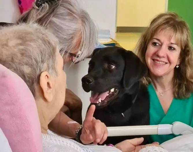 Malato terminale chiede di vedere la sua cagnolina Tota: esaudito l’ultimo desiderio di Silvano