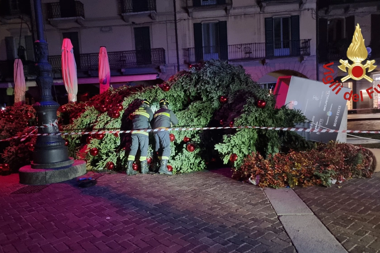 L'albero crollato in piazza del Duomo