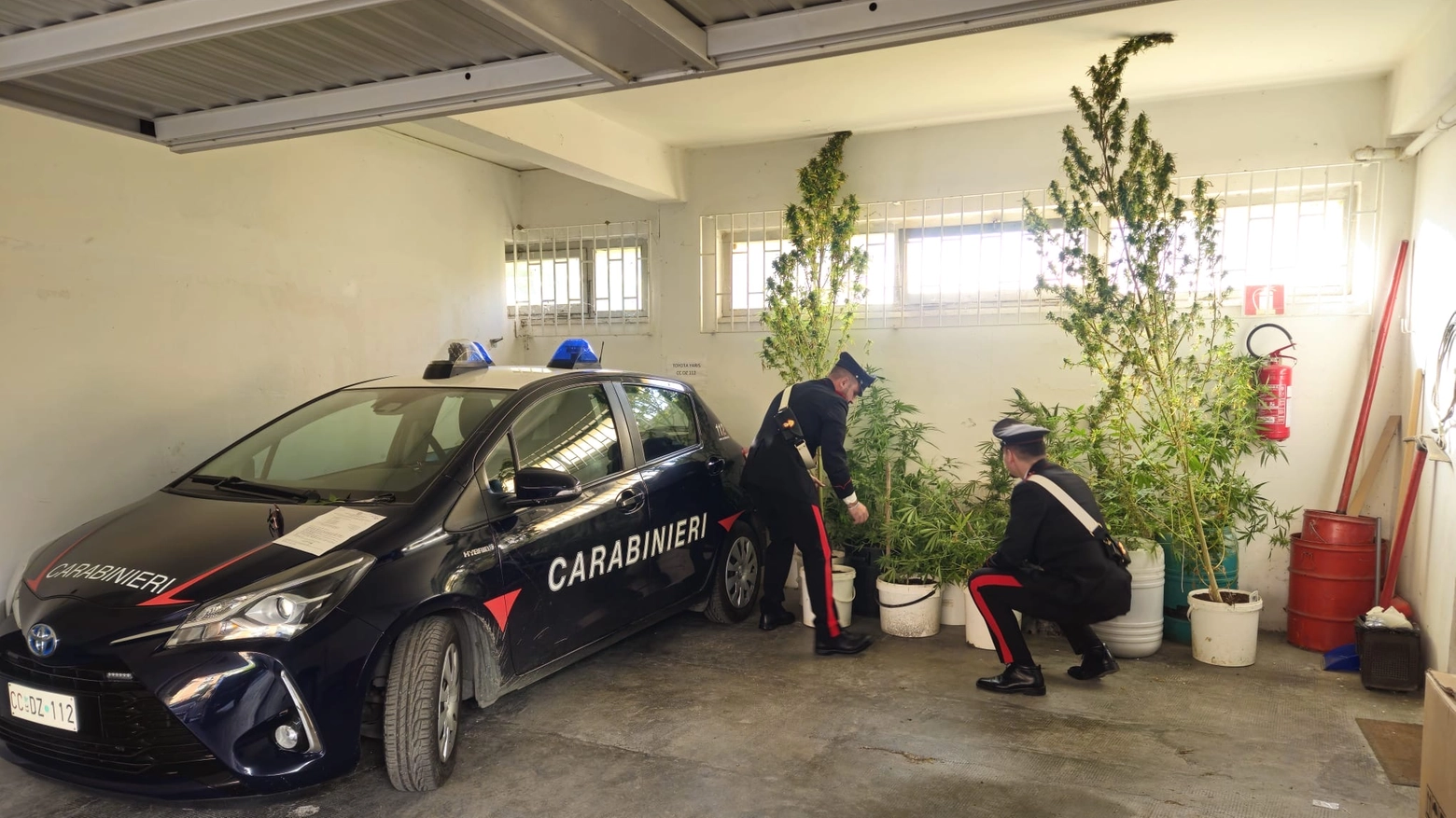 I carabinieri durante un blitz in un garage adibito a serra per le piante di marijuana