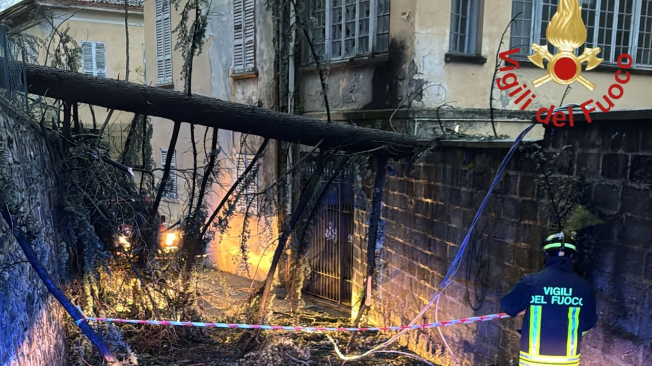 Como, la pianta caduta in via Monte Caprino (Foto vigili del fuoco)