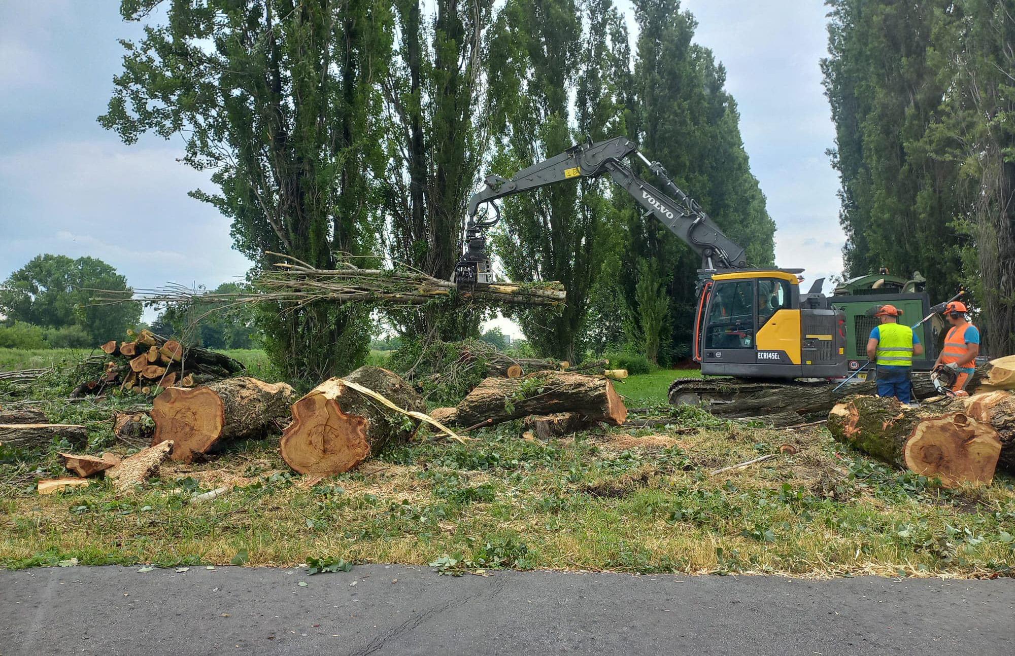 Peschiera Borromeo, tracciato per la pista ciclabile: “Alberi tagliati, è inaccettabile”