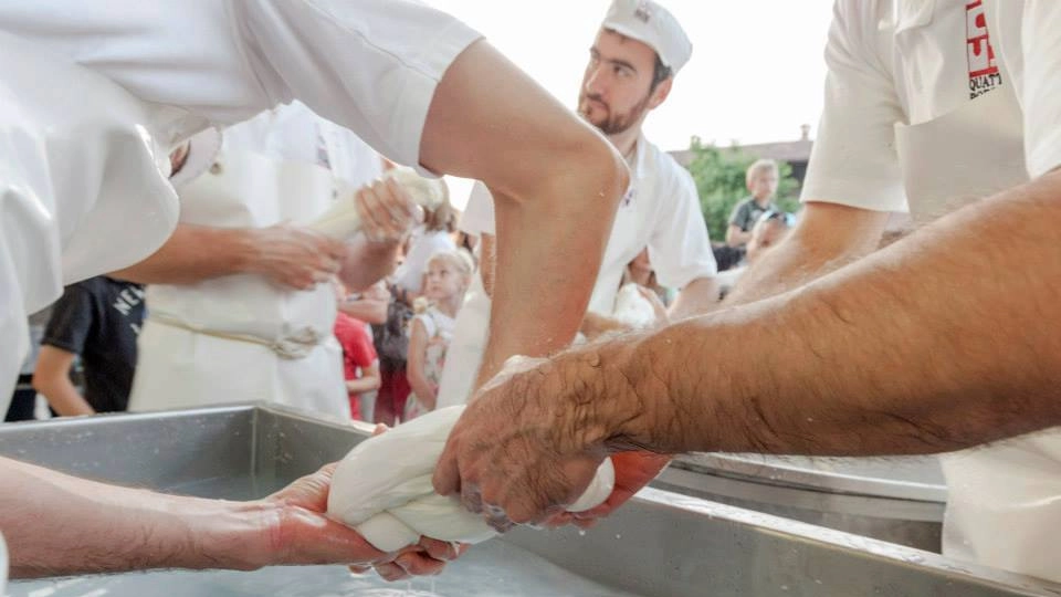 Sagra della Bufala a Treviglio, due fine settimana di gusto e divertimento