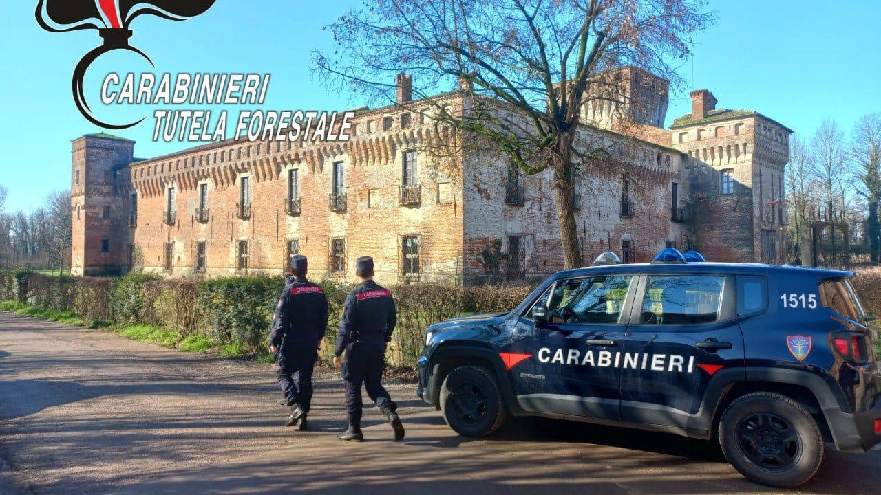 Una parte dell’area attigua al castello di Padernello è stata posta sotto sequestro dai carabinieri forestali di Brescia su disposizione...