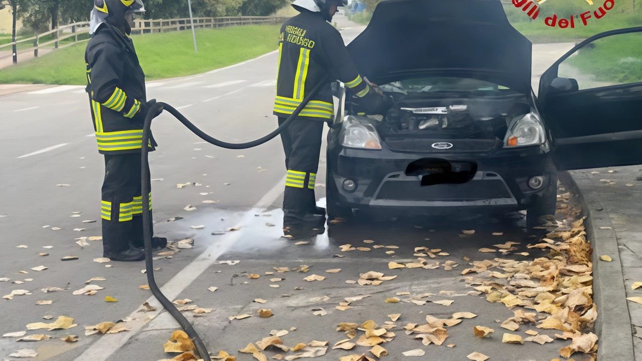 Attorno alle 11.15 di ieri squadre del comando dei vigili del fuoco di Lodi sono accorse in viale Rimembranze a...