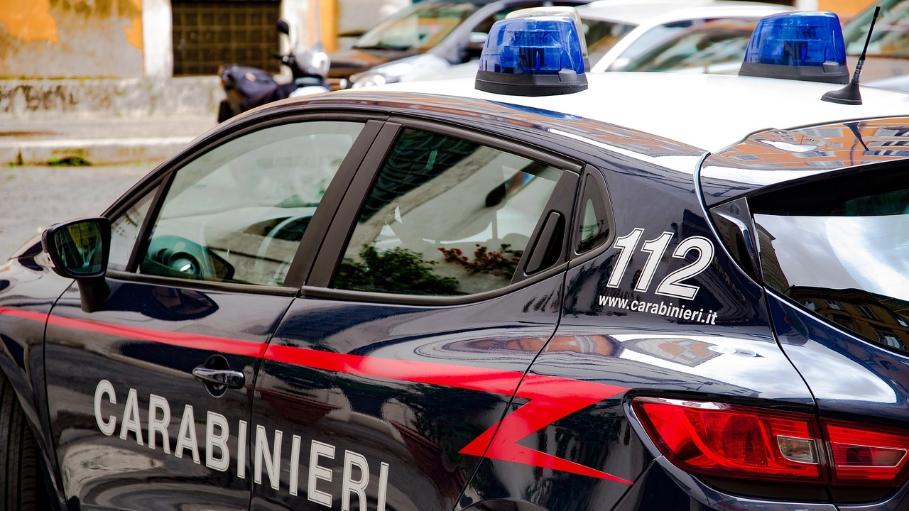 L'uomo è stato arrestato dai carabinieri di Mantova