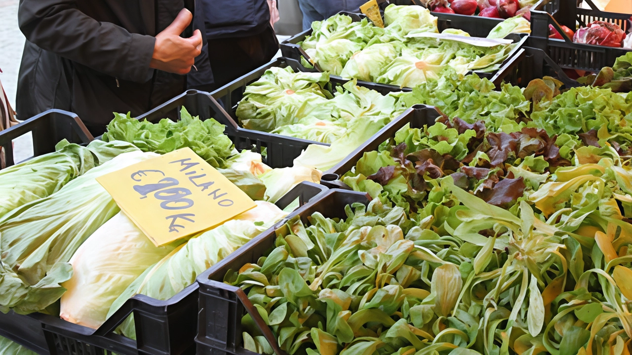 Domenica parte l’appuntamento bisettimanale curato anche da Slowfood. Tutti i prodotti per fare una spesa completa, ci sarà pure la pecora brianzola.